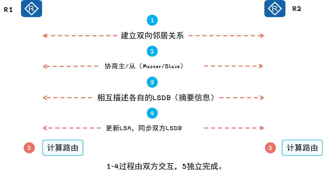 OSPF邻接关系建立过程